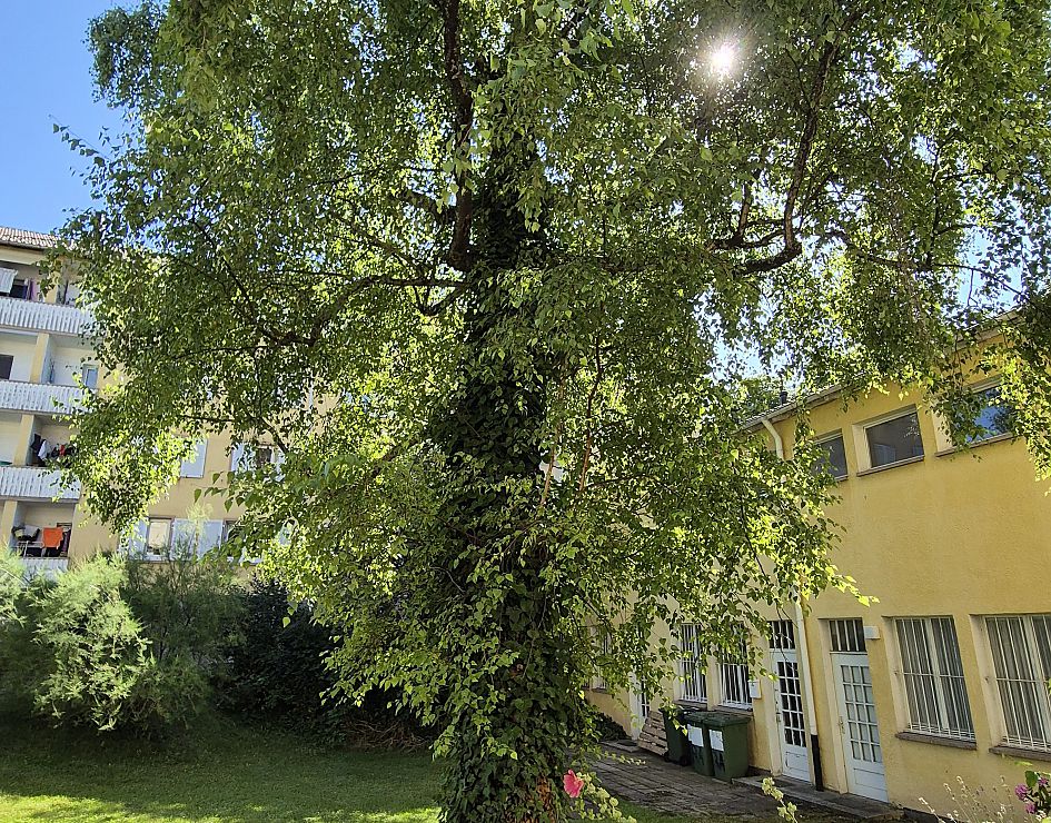 Detailansicht Gerwigplatz 5 und 7