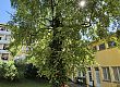 Vorschaubild Gerwigplatz 5 und 7