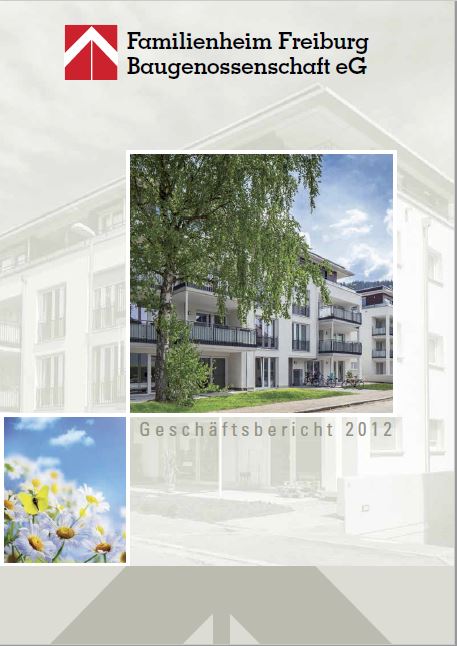 Geschäftsbericht 2012